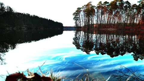 Calm Forest Lake with Tree Reflections Stock-Footage 332614926
