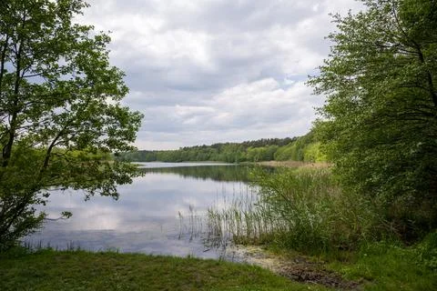 Calm forest lake under cloudy sky in Dziwnow Poland Stock-Fotos