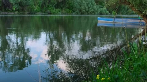 Calm forest river with green trees along shoreline. Stockbeeldmateriaal 246891992