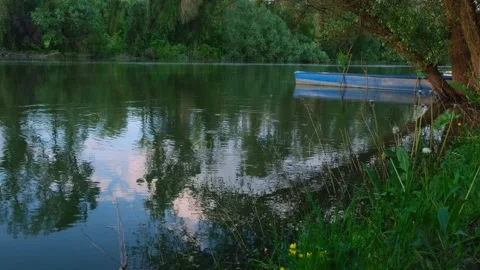Calm forest river with green trees along shoreline. Video stock 260317935