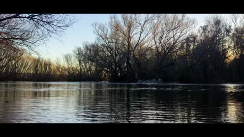 Calm Forest River Sunset Glow Background Vidéo 344989815