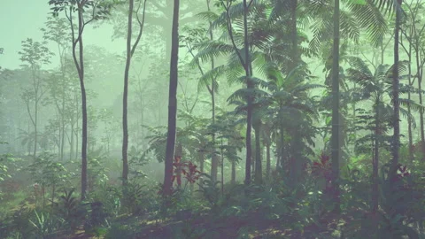 Calm forest scene painted in gentle green shadows during dusk in Australia Stock Footage 340665806
