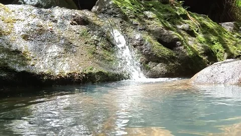 Calm Forest Stream with Clear Water and Natural Rock Formation Stock Footage 330545048