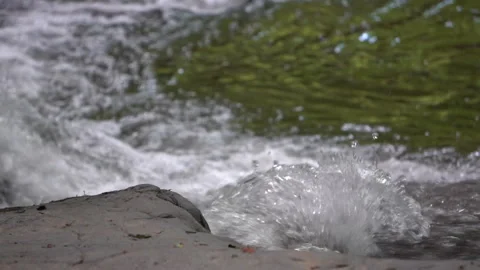 Calm Forest Stream Flowing Gently Video stock 311668361