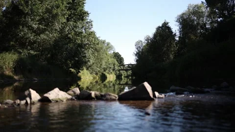 Calm forest stream flows past scattered rocks with a wooden bridge in the distan Stock Footage 312335713