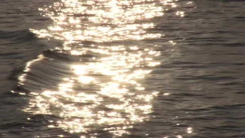 Calm Golf Sea Stock Footage 93780924