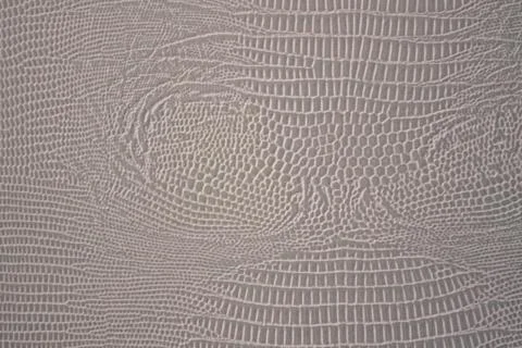 A calm gray texture. 스톡 사진