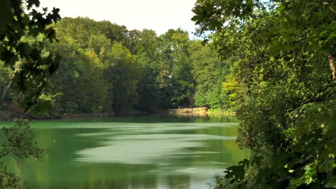 Calm green lake framed by tree branches in forest park Stock Footage 346539573