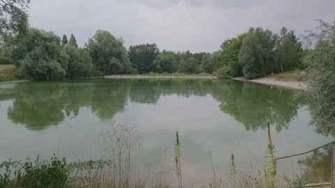 Calm Green Pond With Reflections and Reeds, Wide Shot Video stock 343029546