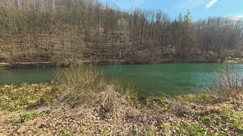 Calm green river flows through quiet woodland edge. Grza River Spring, Serbia Stockbeeldmateriaal 332374297