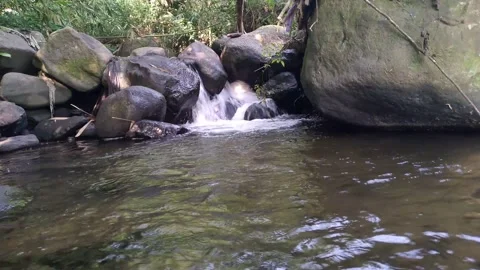 Calm Hidden Tropical Stream Over Mossy Rocks - Relaxing Nature Water 4K Stock-Footage 342575517
