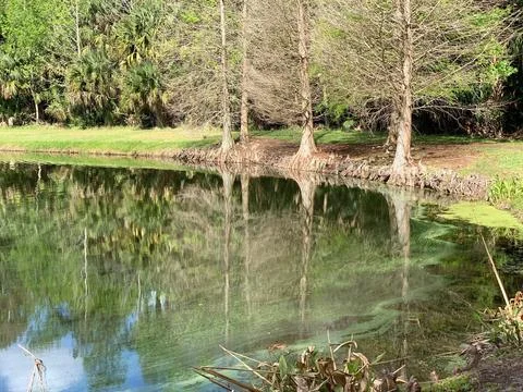 Calm lagoon with reflections Stock Photos