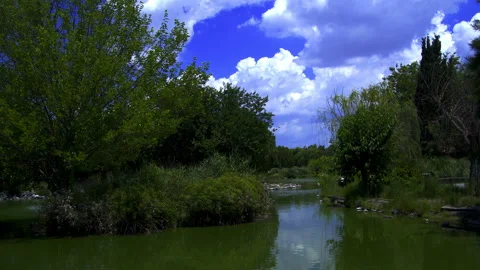 Calm Lake And Cloudy Sky Covered With Green Trees Stock Footage 133611091
