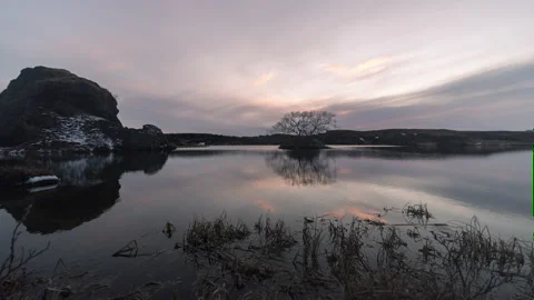 Calm lake and tree at sunset Stock Footage 196623088