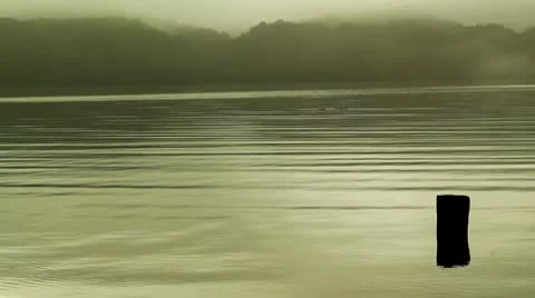 Calm Lake at Dawn Stock-Footage 8924648