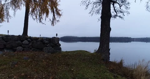 Calm lake during fall Stock Footage 103352951