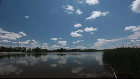 Calm lake Stock Footage 8554440
