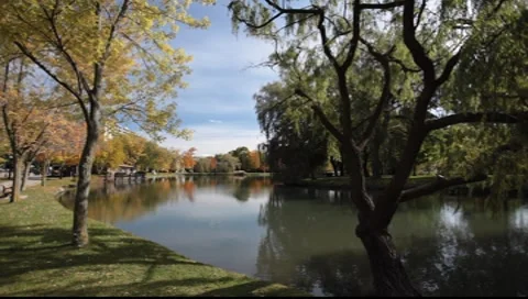 Calm lake Video stock 8554623