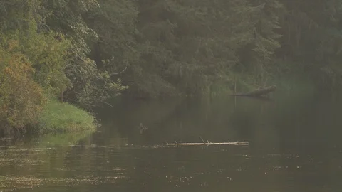 Calm Lake Stock Footage 88409253