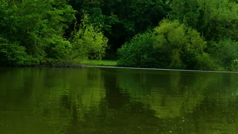 A calm lake Stock Footage 155581338