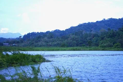 A calm lake with a forest in the background Stock Photos