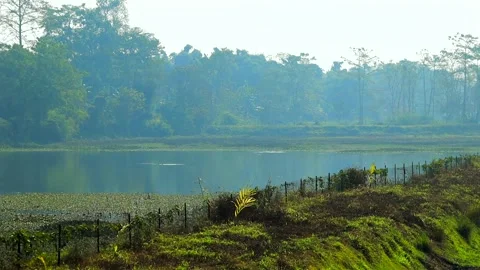 Calm lake with forest reflections and green embankment during daytime Stock Footage 327515252