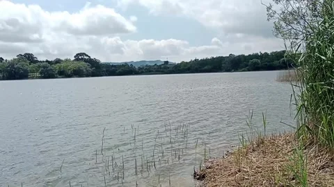 Calm lake landscape with cloudy sky and forest hills, natural scenery Stock Footage 332508133