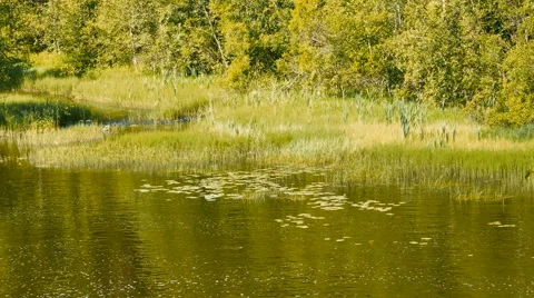 Calm Lake Landscape Upper View Stock Footage 67643895