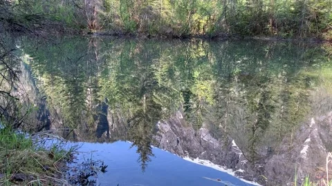 Calm Lake Mountain Reflection with Bird Sounds ASMR in Hyder, Alaska Stock Footage 295462218