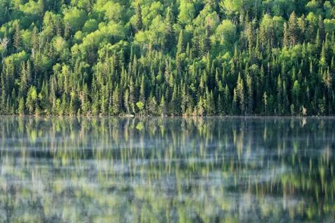 Calm lake Stock Photos