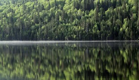 Calm lake Foto stock