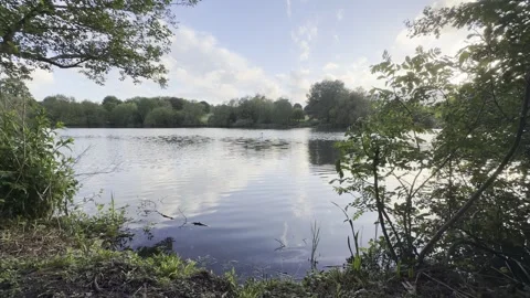 Calm lake reflecting cloudy sky 4K Vídeos de archivo 335541827