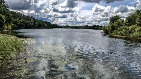 Calm lake reflecting dramatic clouds and lush green trees on a summer day 写真素材