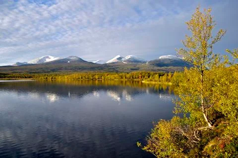 Calm lake reflection Stock Photos