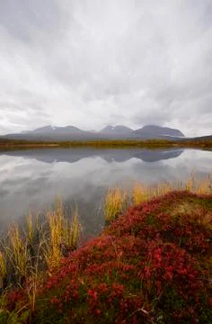 Calm lake reflection Stock Photos