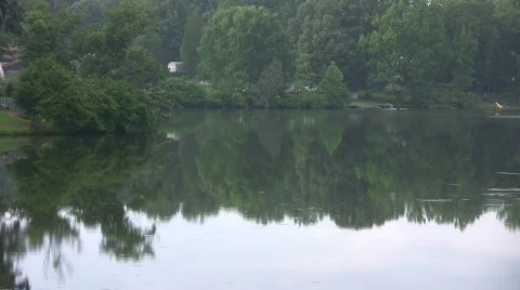 Calm lake with reflections and docks Stock Footage 460829
