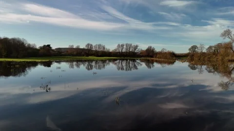 Calm Lake Reflections and Trees in Countryside 4K Stockbeeldmateriaal 333926147
