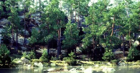 Calm lake reflections of vibrant forest in morning light Stock Illustration