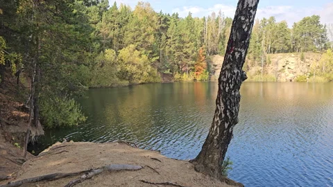 Calm lake reflects sky and trees Stock Footage 347500053
