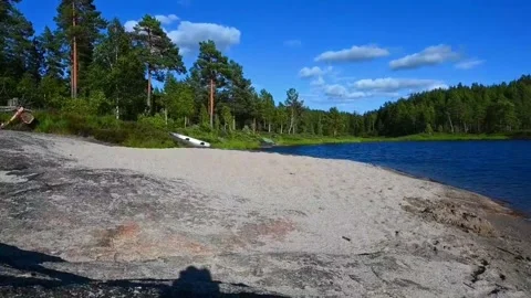 Calm lake scene with sandy beach and green forest under clear sky in Norway.. Stock Footage 340214102