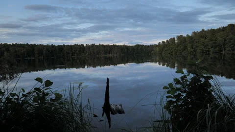 Calm Lake Shore at Evening with Forest and Reflections Stock-Footage 344276206