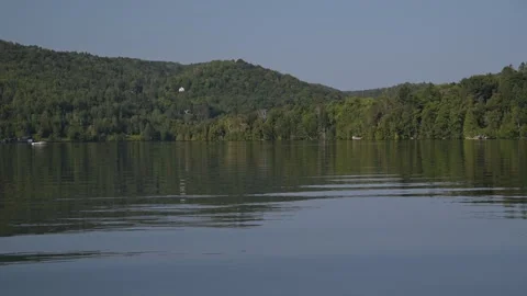 Calm lake summertime Video stock 297792553