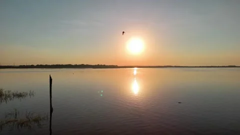 Calm Lake At Sunset With Water Reflection, Marsh Edge And... Vídeos de archivo 332506325