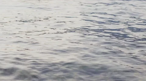 Calm lake surface, in slow-motion from the water in the evening. Stock Footage 56377689