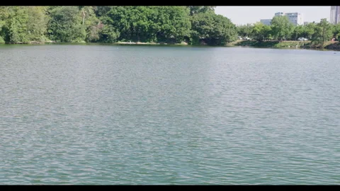 Calm Lake Surface with Tree Line and Urban Background Stock Footage 328301702