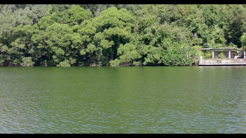 Calm Lake Surface with Tree-Lined Shoreline for Relaxation and Mindfulness Stock Footage 328302798