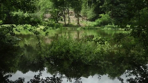 Calm Lake in Surrey with reflection Stock-Footage 77382008