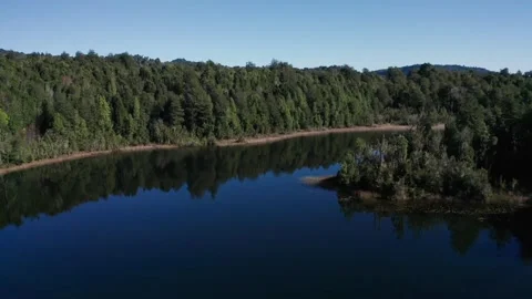 Calm Lake Surrounded by Dense Forest Stock Footage 303603816