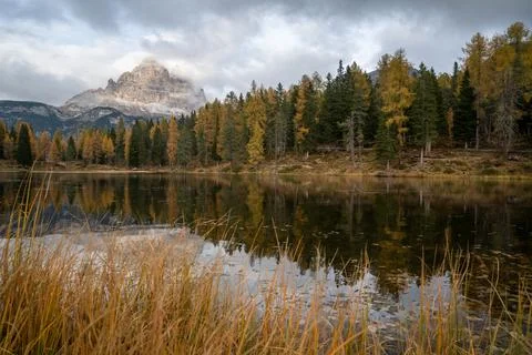 Calm lake surrounded by forest Stock Photos