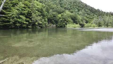 Calm Lake Surrounded by Green Mountains Stock Footage 332095563